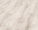lipicaoak1.webp